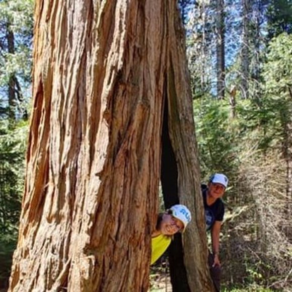 Meet your Posher, Martha - Picture 1 of 1